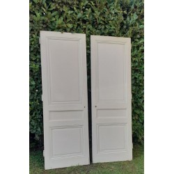 Pair of cupboard doors...